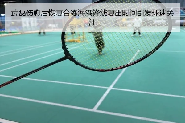 武磊伤愈后恢复合练海港锋线复出时间引发球迷关注