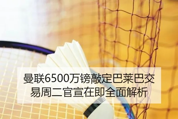 曼联6500万镑敲定巴莱巴交易周二官宣在即全面解析 - YABO